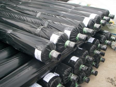 черная мульчированная пленка