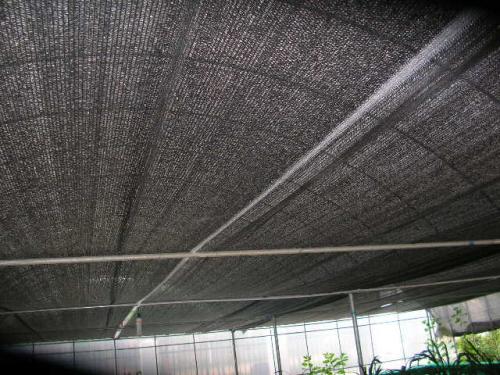 сетчатая сетка